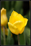 CRW_6513