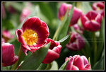 CRW_6522