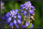 CRW_6527