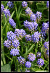 CRW_6533