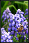 CRW_6536