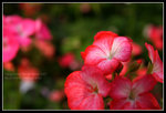 CRW_6543