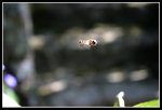 IMG_4077