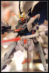 CRW_5154