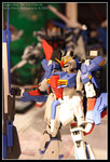 CRW_5167