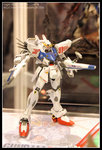 CRW_5168