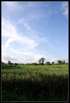 CRW_7073