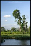 CRW_7084