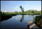 CRW_7085