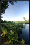 CRW_7096