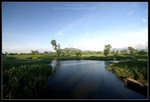 CRW_7101