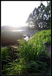 CRW_7112