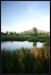 CRW_7120