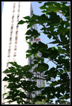 CRW_5628