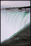 CRW_7005