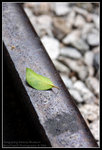 CRW_4789