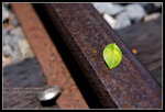 CRW_4940