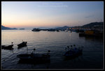 CRW_0882