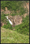 CRW_5291