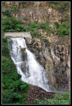 CRW_5321