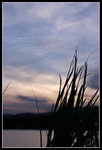 CRW_5332