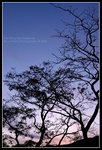 CRW_5338