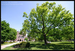 CRW_6787