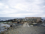 IMGP1635