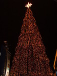 christmas tree*+