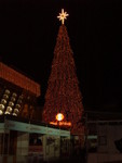 christmas tree*+