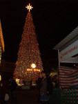 �ꦫchristmas tree=.=