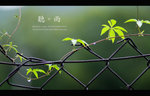 IMG_1622_1238 copy