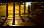 IMG_1695_1295 copy