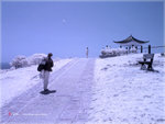 IMG_3385_1776 copy