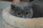 DSC_7810