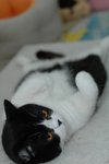 DSC_9978
