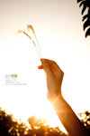BBY_5797-1