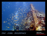 IMG_4001 copy
