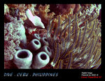 IMG_4014 copy