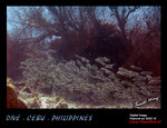 IMG_4020 copy