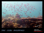 IMG_4075 copy