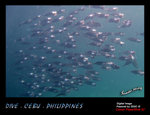 IMG_4189 copy