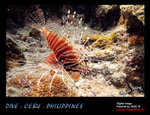 IMG_4195 copy