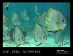 IMG_4261 copy