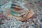 IMG_1563