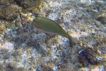 IMG_2989