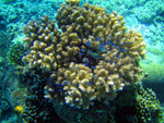 


IMG_1874a