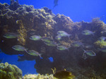 


IMG_1878a
