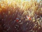 


IMG_1881a