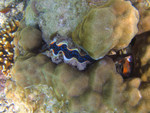 


IMG_1895a